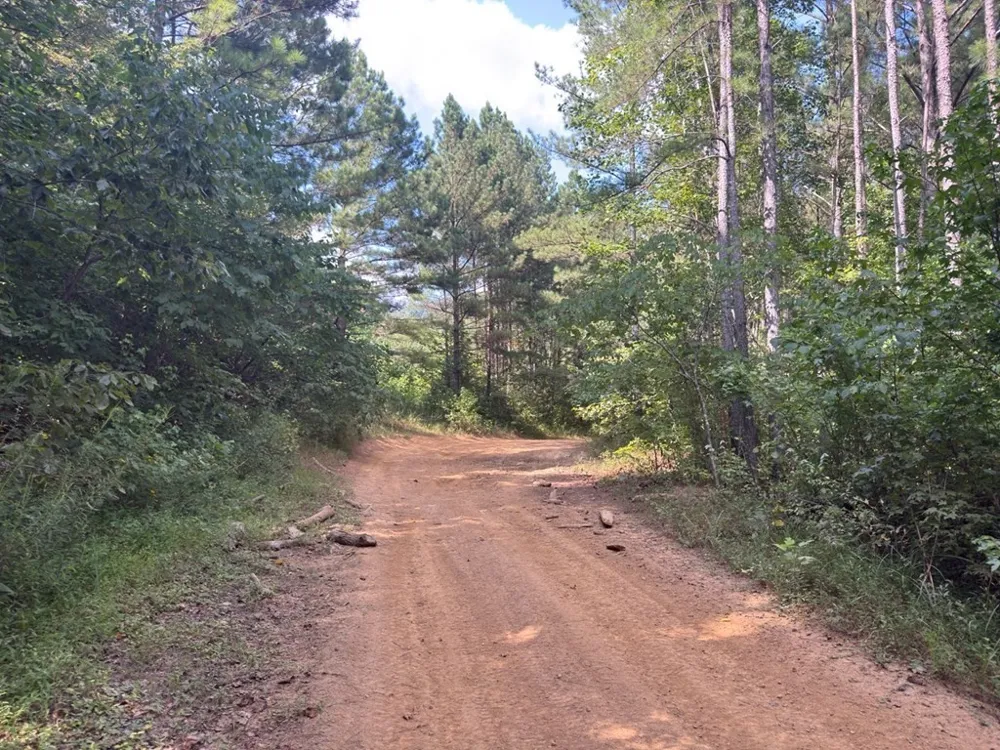 0 Puncheon Creek Lane Allred, TN 38542