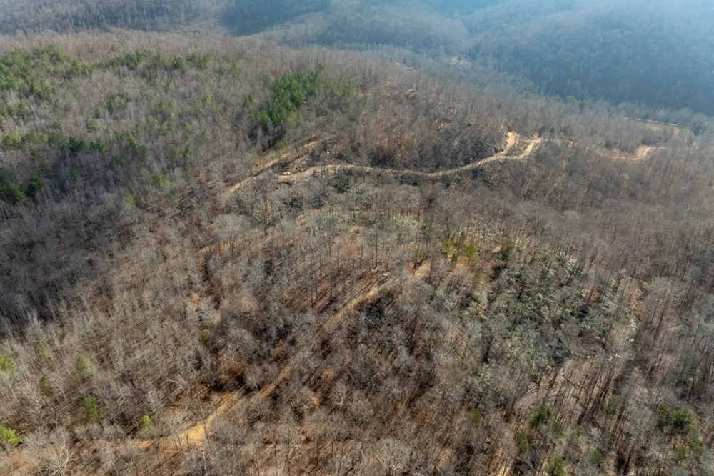 0 Puncheon Creek Lane Allred, TN 38542
