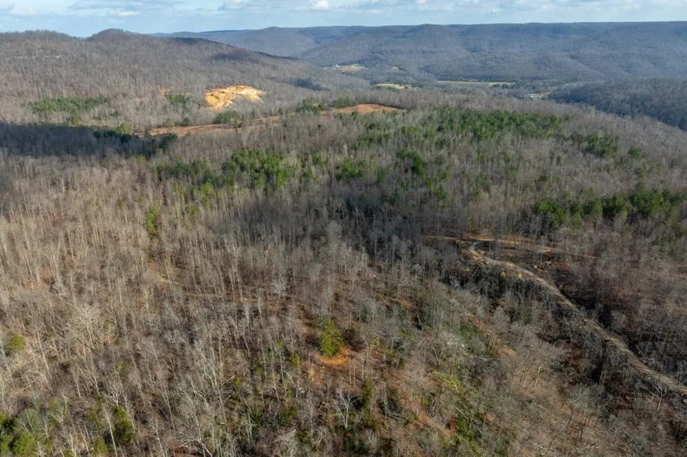 0 Puncheon Creek Lane Allred, TN 38542