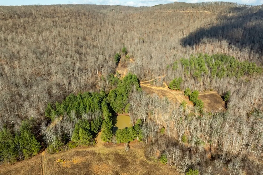 0 Puncheon Creek Lane Allred, TN 38542