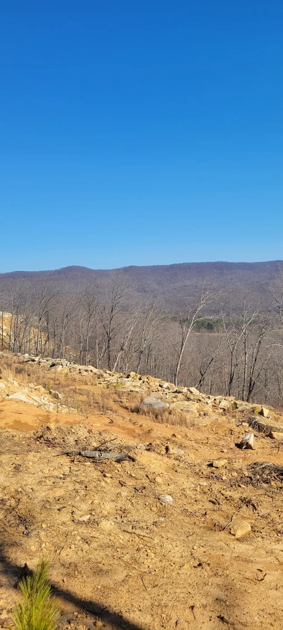 0 Puncheon Creek Lane Allred, TN 38542