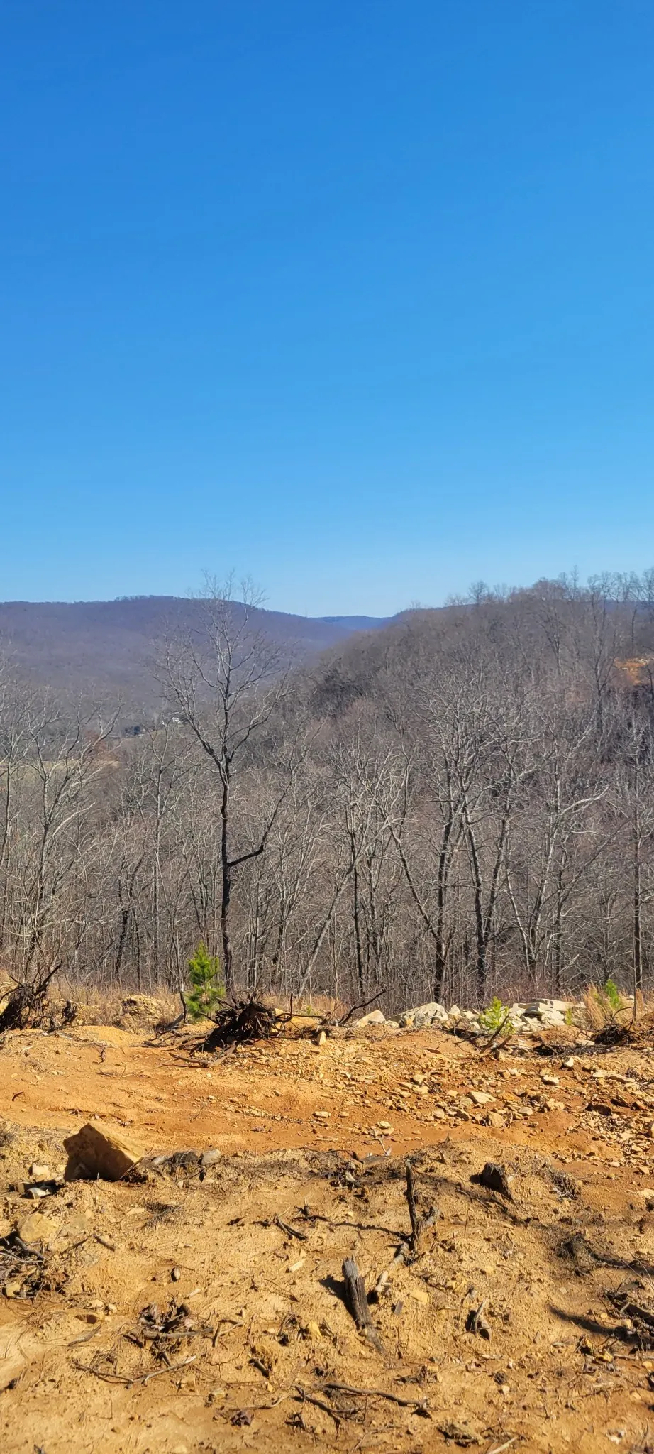 0 Puncheon Creek Lane Allred, TN 38542