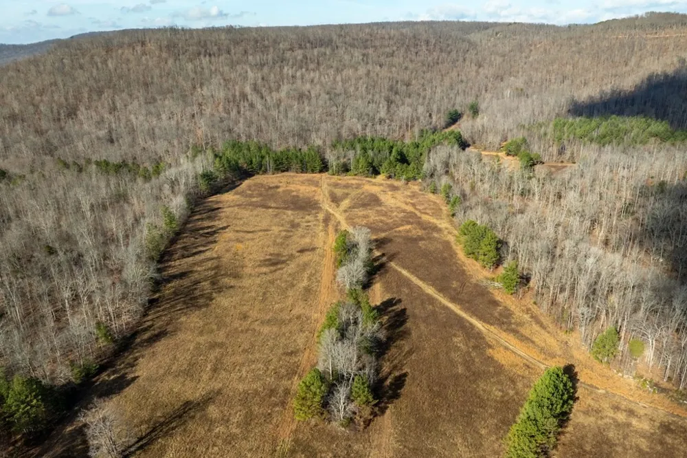 0 Puncheon Creek Lane Allred, TN 38542