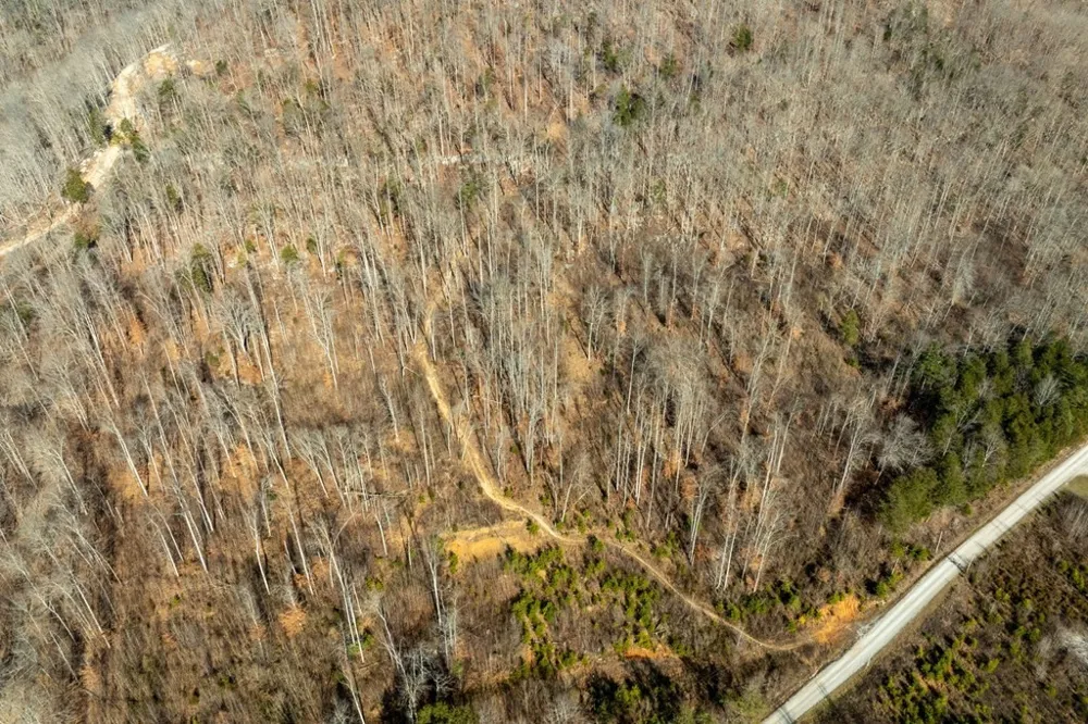0 Puncheon Creek Lane Allred, TN 38542
