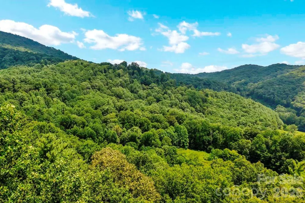 tbd Council Ward Road Sugar Grove, NC 28679