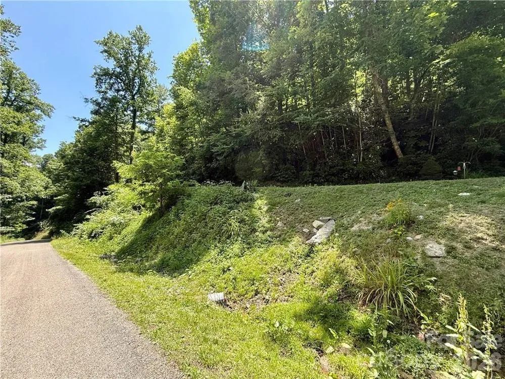 tbd Council Ward Road Sugar Grove, NC 28679