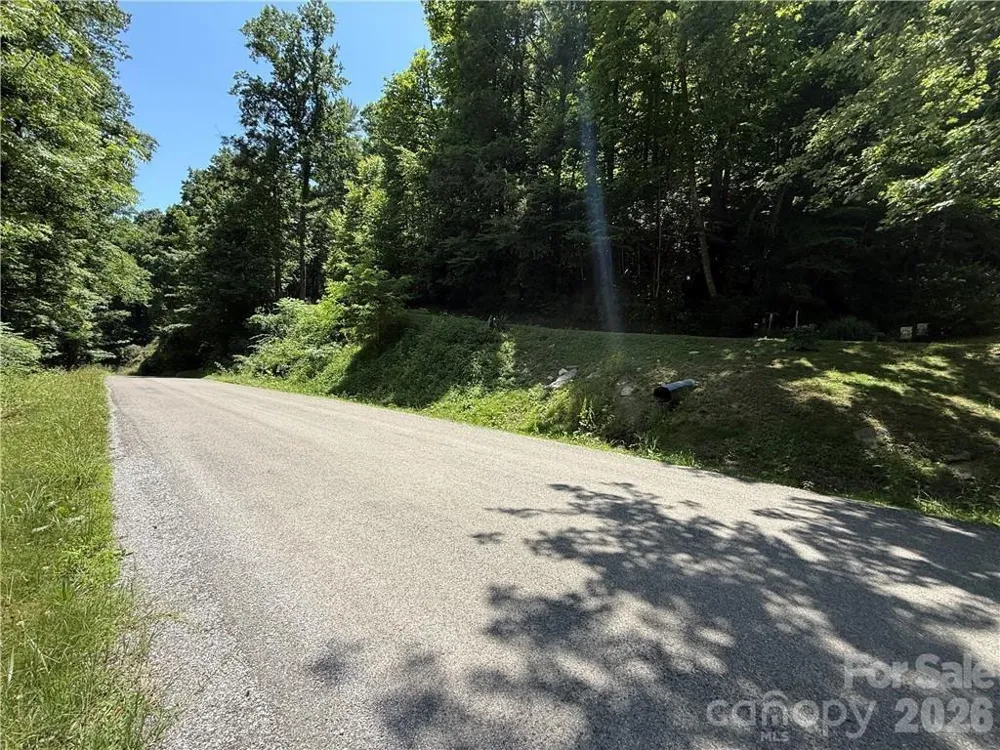 tbd Council Ward Road Sugar Grove, NC 28679