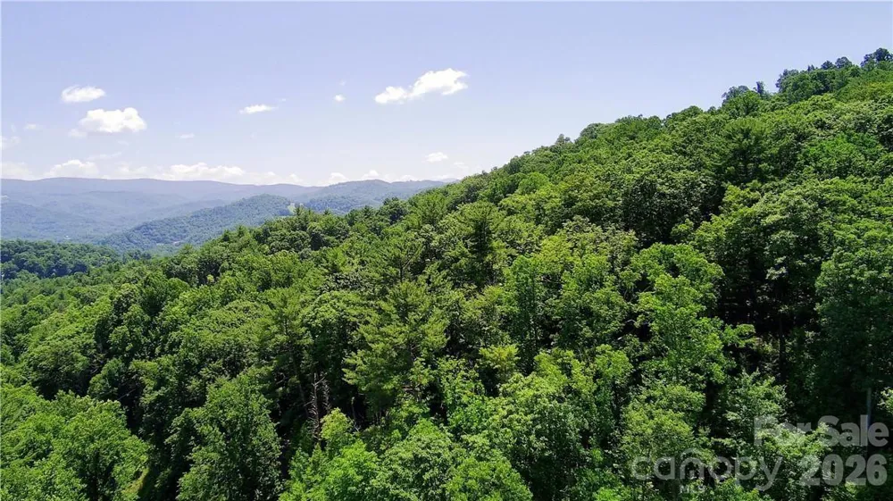 tbd Council Ward Road Sugar Grove, NC 28679