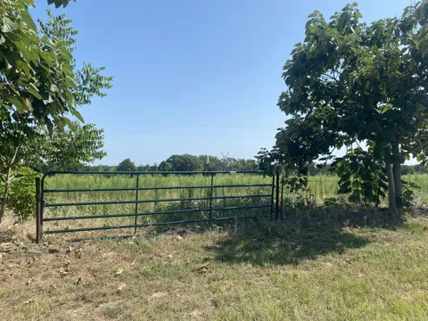 CR 1323