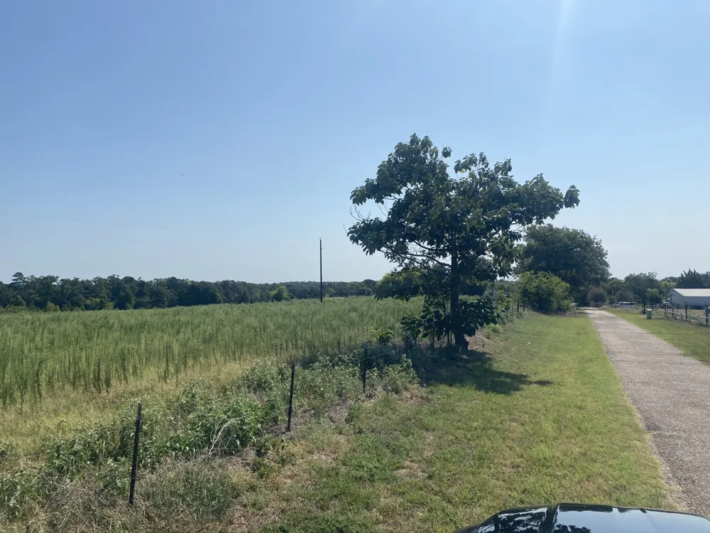 CR 1323 Pittsburg, TX 75686