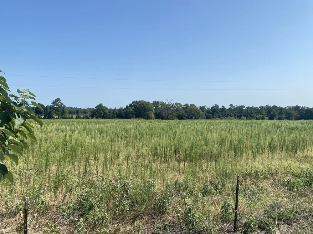 CR 1323 Pittsburg, TX 75686
