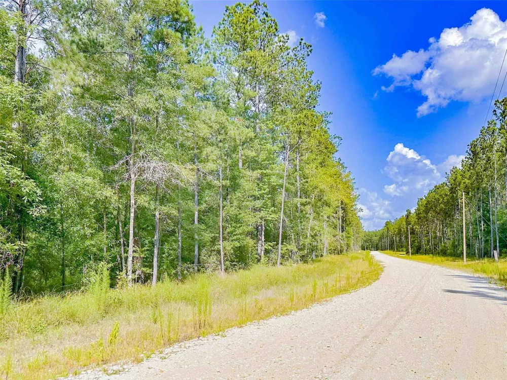 9010 Carter Ranch Road Kountze, TX 77625