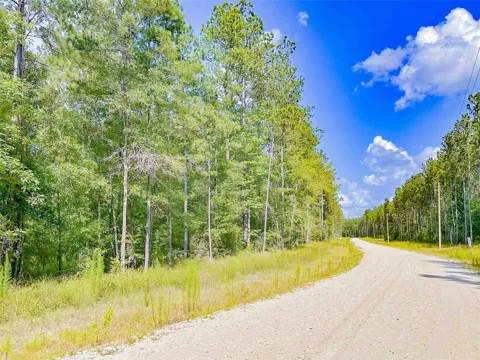9010 Carter Ranch Road