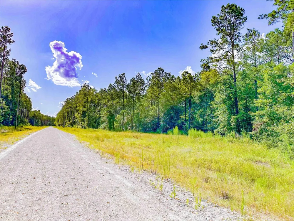 9010 Carter Ranch Road Kountze, TX 77625