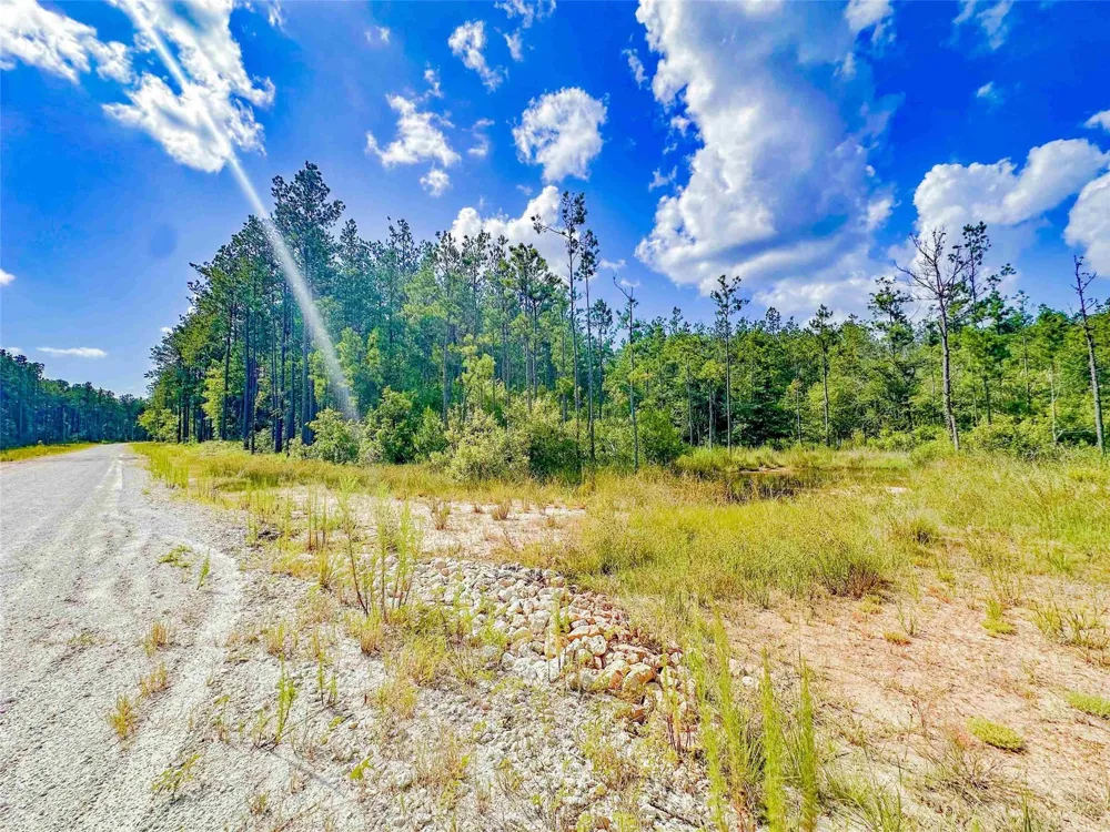 9010 Carter Ranch Road Kountze, TX 77625