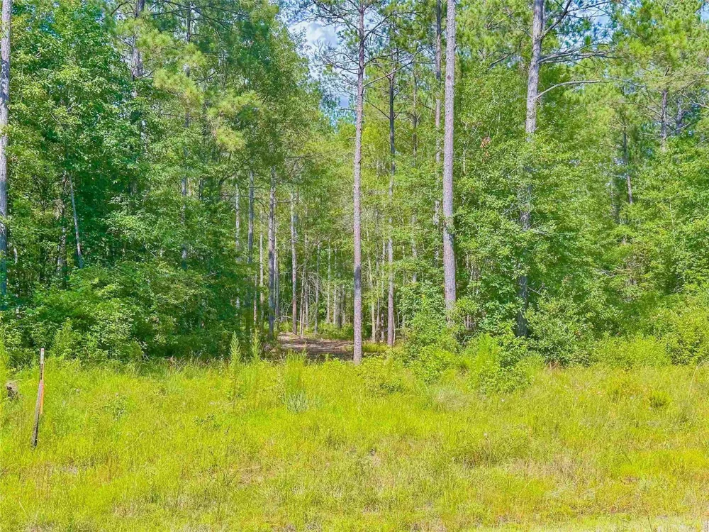 9010 Carter Ranch Road Kountze, TX 77625
