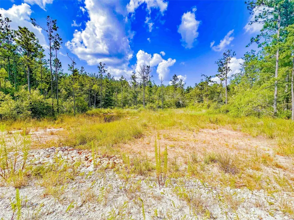 9010 Carter Ranch Road Kountze, TX 77625