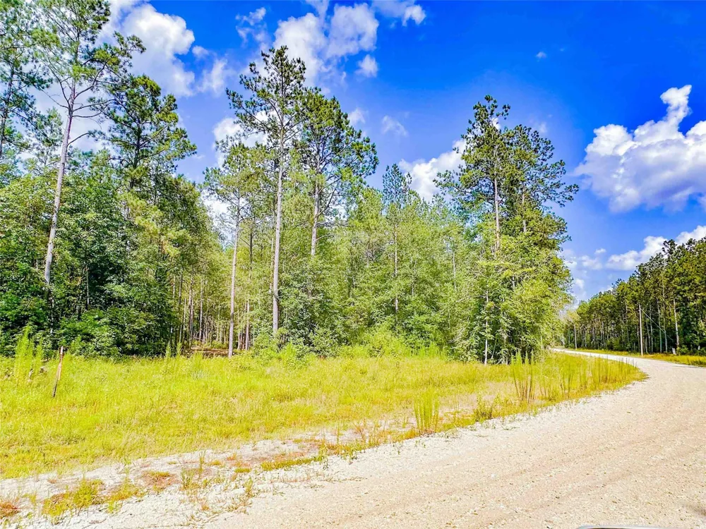 9010 Carter Ranch Road Kountze, TX 77625