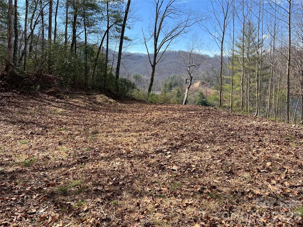 134 Dars Lane #7 Tuckasegee, NC 28783