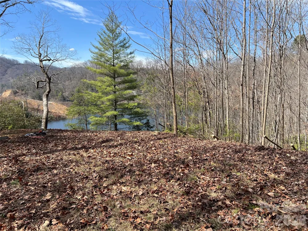 134 Dars Lane #7 Tuckasegee, NC 28783