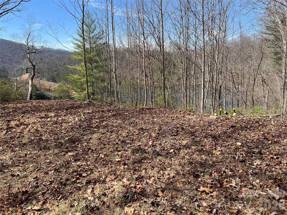 134 Dars Lane #7 Tuckasegee, NC 28783