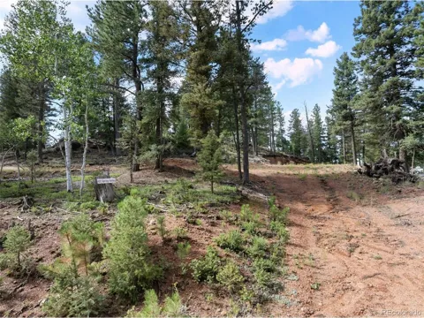 422 Spring Valley Drive