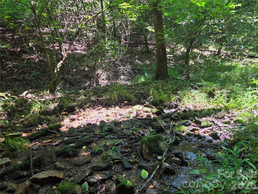 700 Nelson Lane Millers Creek, NC 28651