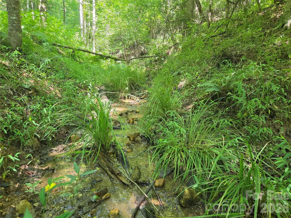 700 Nelson Lane Millers Creek, NC 28651