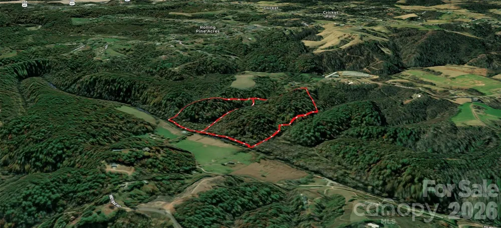 700 Nelson Lane Millers Creek, NC 28651