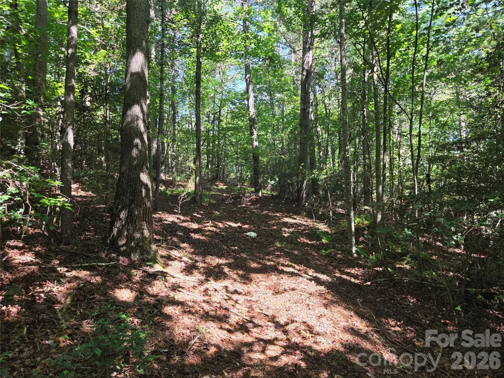 700 Nelson Lane Millers Creek, NC 28651