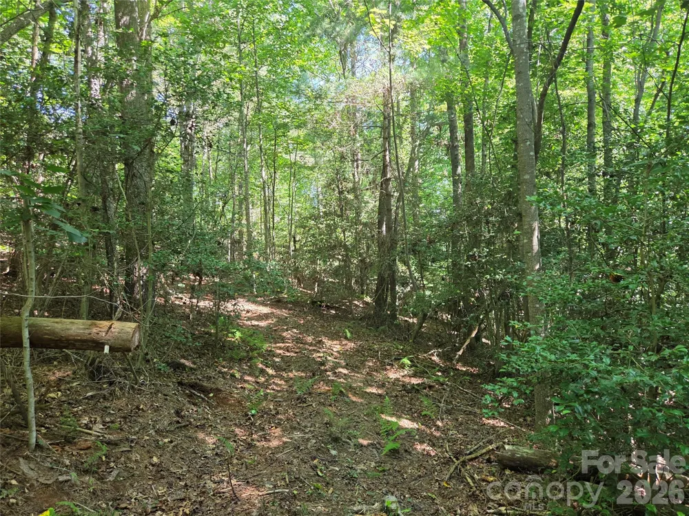 700 Nelson Lane Millers Creek, NC 28651