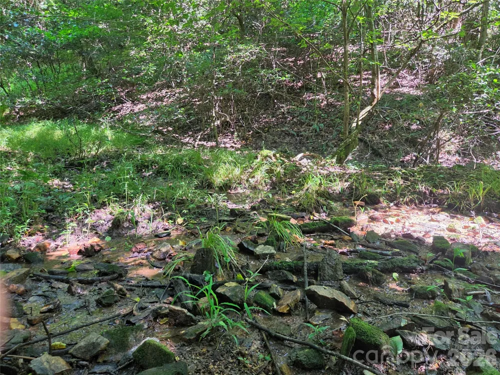 700 Nelson Lane Millers Creek, NC 28651