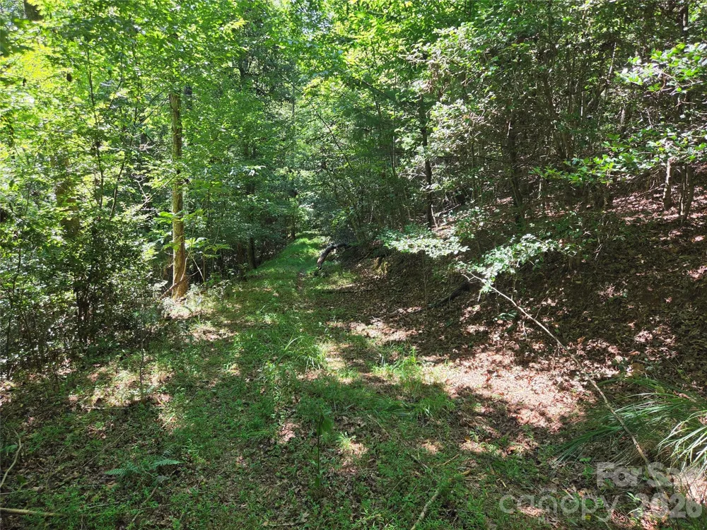 700 Nelson Lane Millers Creek, NC 28651