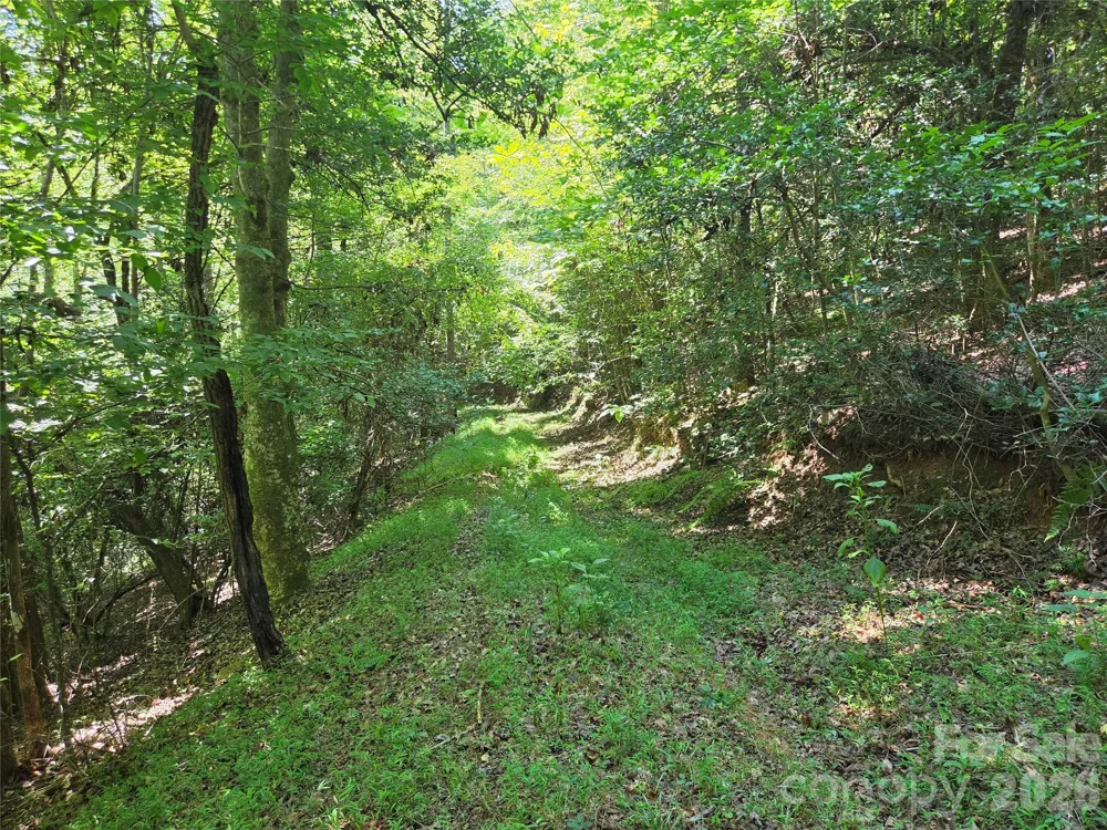 700 Nelson Lane Millers Creek, NC 28651