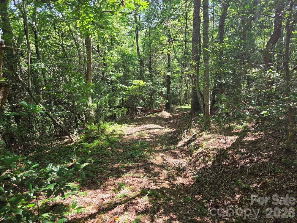 700 Nelson Lane Millers Creek, NC 28651
