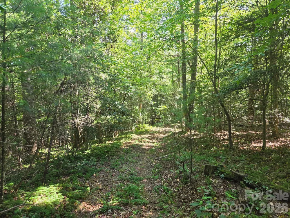 700 Nelson Lane Millers Creek, NC 28651
