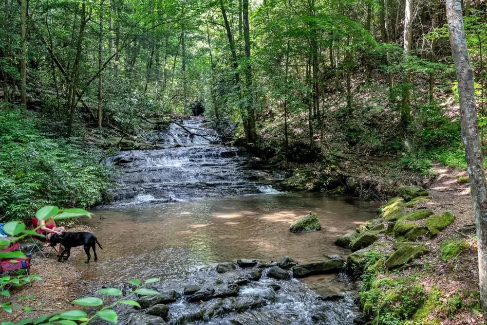 161 Falling Creek Sautee Nacoochee, GA 30571