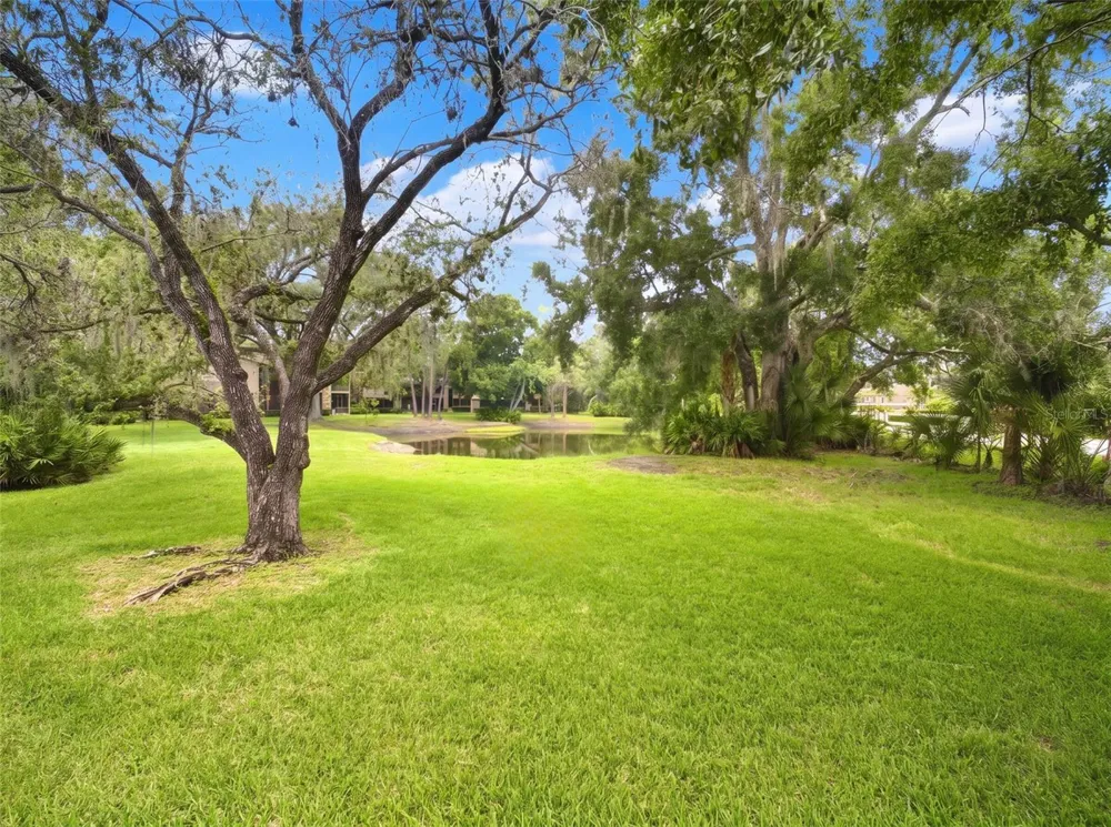 1400 TARPON WOODS BOULEVARD #A1 Palm Harbor, FL 34685