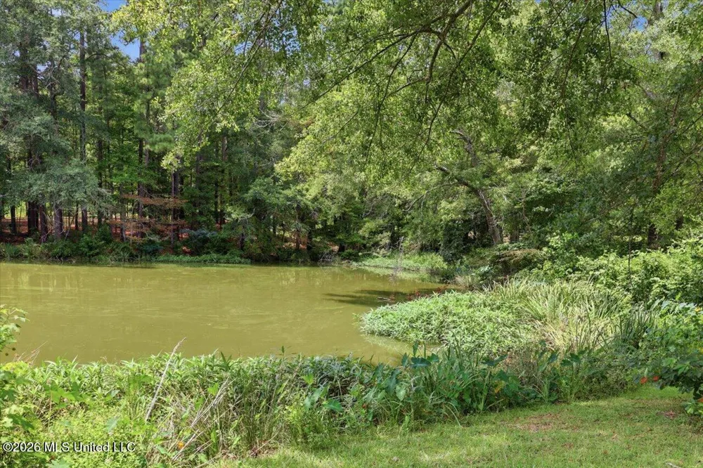 145 Wynndale Lake Road Terry, MS 39170