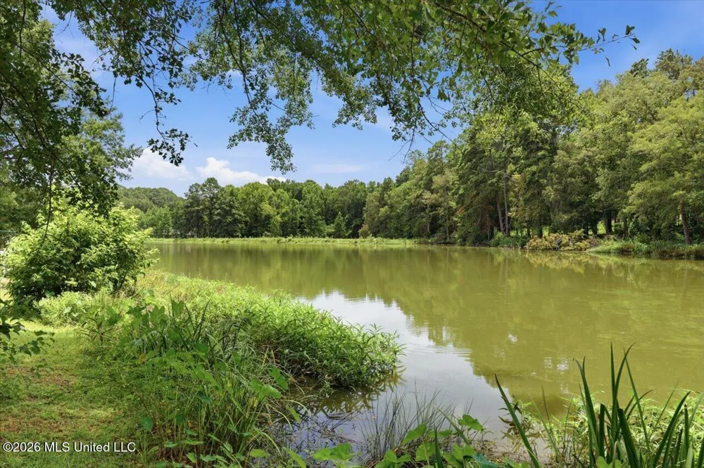 145 Wynndale Lake Road Terry, MS 39170