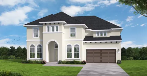 18615 Pink Lemon Drive
