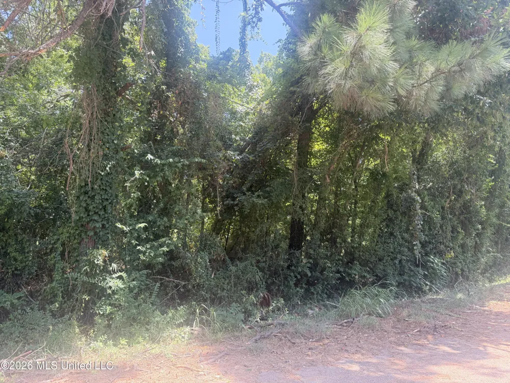 0 Woodhaven Natchez, MS 39120