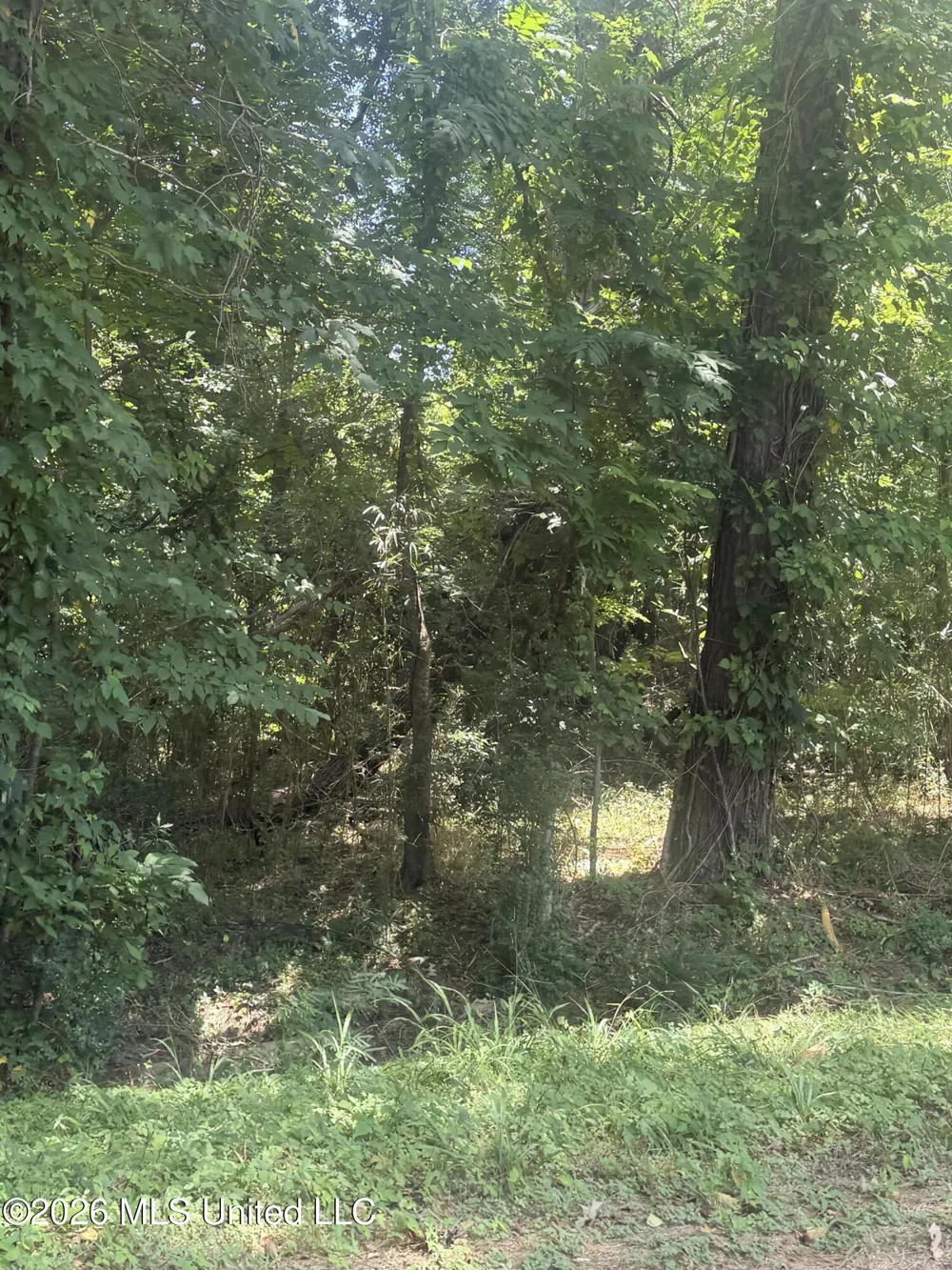 0 Woodhaven Natchez, MS 39120
