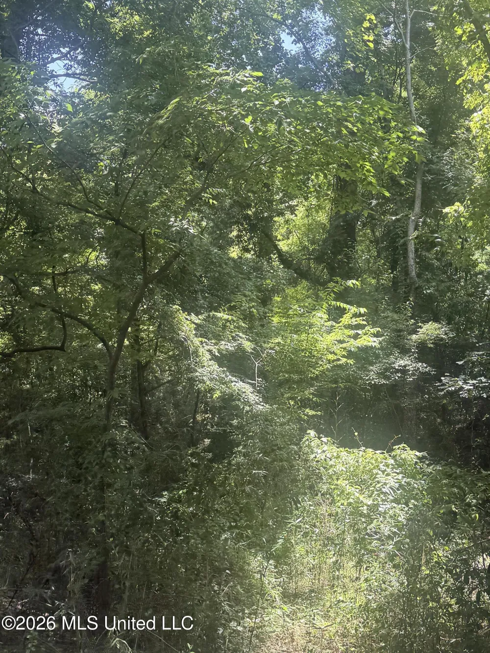 0 Woodhaven Natchez, MS 39120