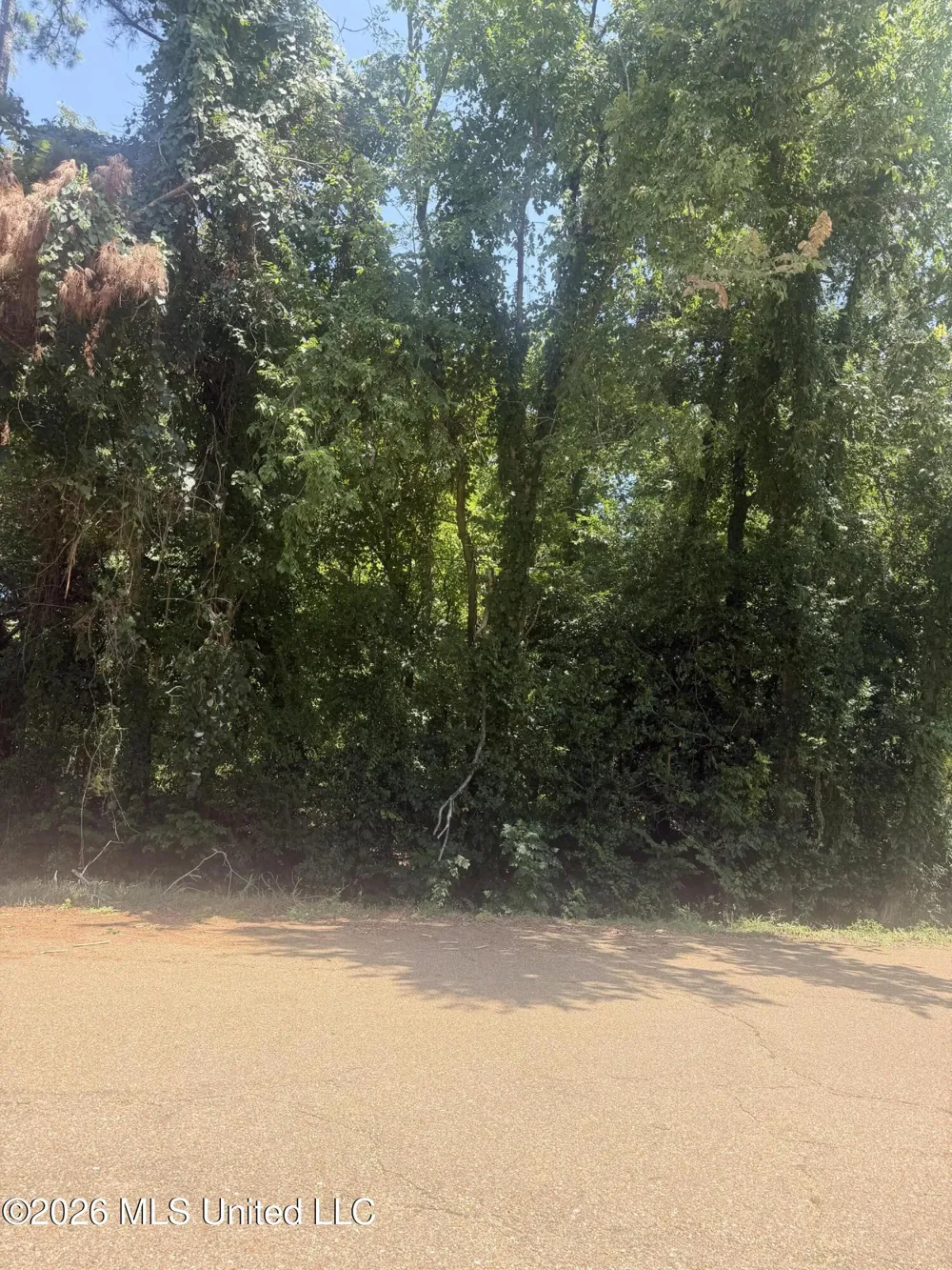 0 Woodhaven Natchez, MS 39120