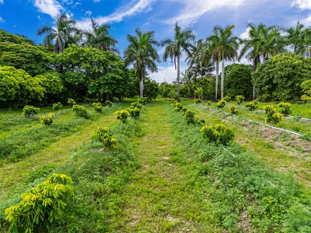 26500 SW 217th Ave Homestead, FL 33031
