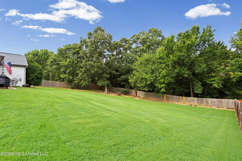 2157 Hemmingway Drive Nesbit, MS 38651