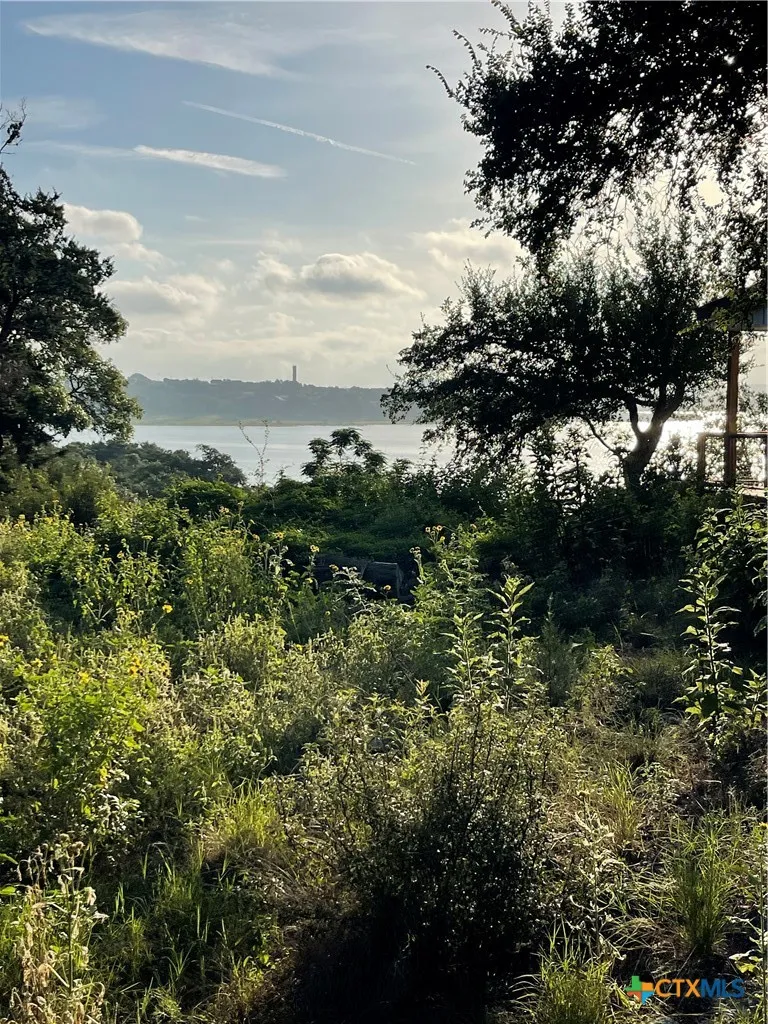 2111 Lakeview Drive Canyon Lake, TX 78133