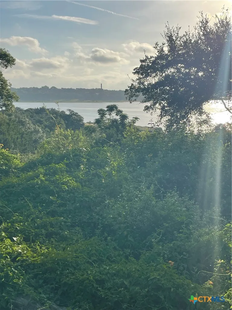 2111 Lakeview Drive Canyon Lake, TX 78133