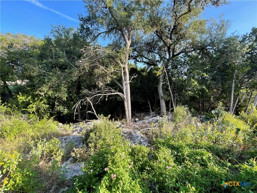 2111 Lakeview Drive Canyon Lake, TX 78133